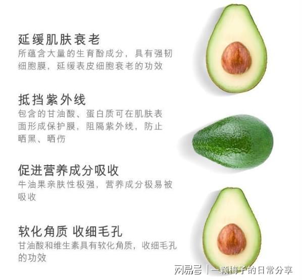 后悔没有早点发现这十款！简直太好用了！j9九游会网址是什么护手霜哪个牌子好？(图2)