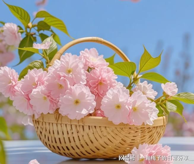 后悔没有早点发现这十款！简直太好用了！j9九游会网址是什么护手霜哪个牌子好？(图12)